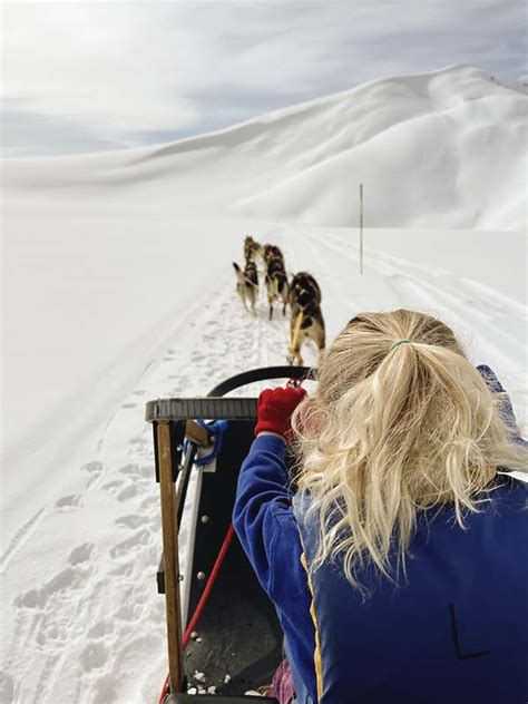 Skagway Glacier Dog Sledding & Helicopter Flightseeing Tours | Alaska Icefield Expeditions ...