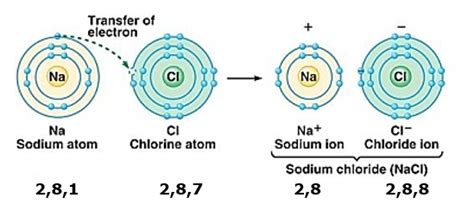 Formation of sodium chloride from sodium and chlorine. Explain by drawing a figure of the