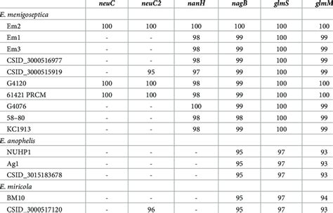 Comparison of selected sialic acid synthesis, transport and utilization ...