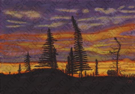 Forest Sunset | Peace art, Forest sunset, Art