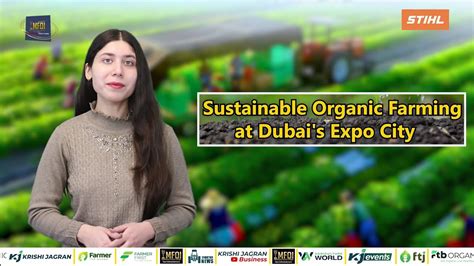 Organic Farming Cultivates Sustainable Living at Dubai's Expo City ...