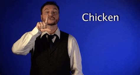 Sign Language Chicken GIF by Sign with Robert - Find & Share on GIPHY