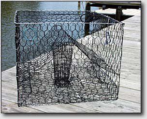 Building a Crabpot | Blue crab trap, Crab trap, Salt water fishing