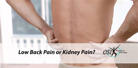 Low Back Pain or Kidney Pain? | Common Pain Questions