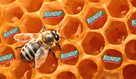 FDA tests find glyphosate in US honey