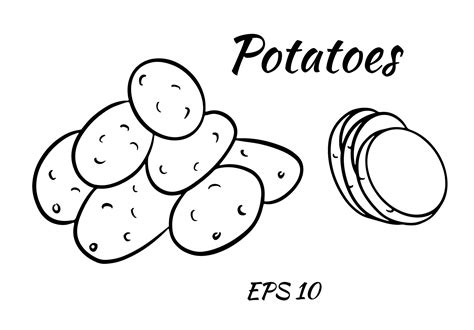 Vector set with potatoes outline 2253710 Vector Art at Vecteezy