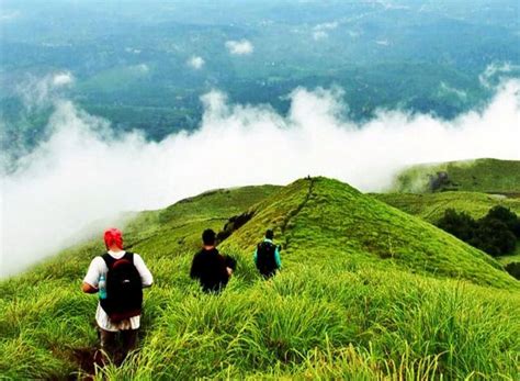 chembra-peak-trek,-wayanad,-kerala – Indian Holiday UK Blog – India ...