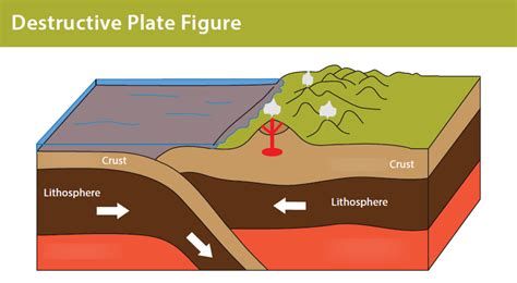 Diagram of Destructive plate boundary | Quizlet