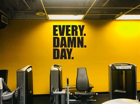 EVERY. DAMN. DAY. Wall Decal. Gym Wall Decal, Fitness Wall Decal, Gym Design Idea, Home Gym ...