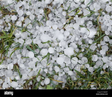 Meadow hailstones grass ice-grain weathers storms thunderstorms hail ...