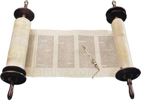 Sefer Torah Scroll On Sale Used / New | Torah scroll, Nice handwriting, Torah