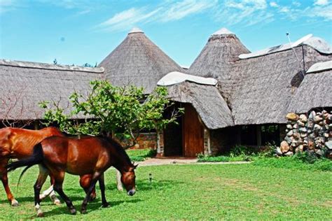 LAKE ALBERT SAFARI LODGE - Uganda Wildlife Safaris, Uganda wildlife ...