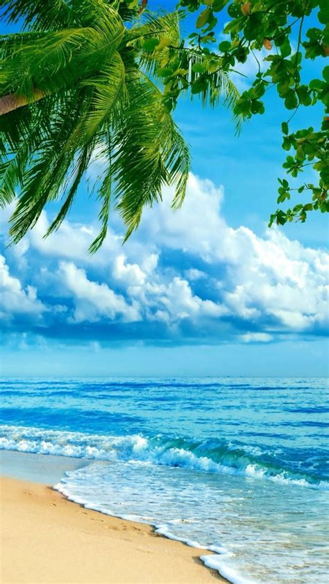 Beach Nature Wallpaper