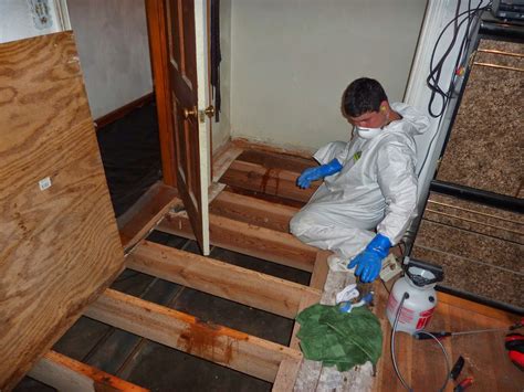 Aftercare: Death Odor Cleanup / Cleaning up after Death in Norfolk, Williamsburg, Franklin, VA