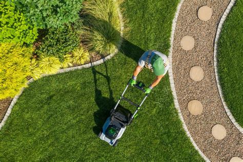 Quick Reference Guide for Florida Lawn Care: Fertilizer and More