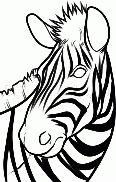 a zebra's head is shown in black and white