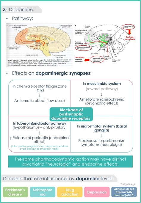 Pharmacology of central neurotransmitter - ppt download