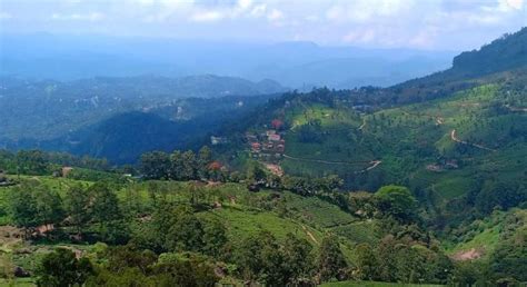 Munnar, Kerala - Discover India