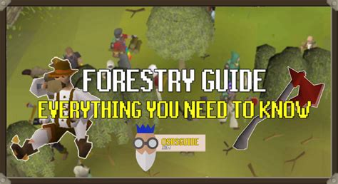 OSRS Forestry Guide - Everything You Need to Know - OSRS Guide