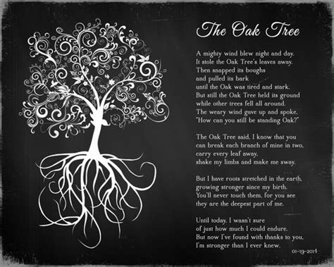 the oak tree poem words - Delora Leung