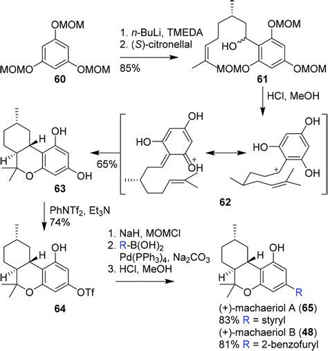 Synthetic pathways to tetrahydrocannabinol (THC): an overview - Organic & Biomolecular Chemistry ...