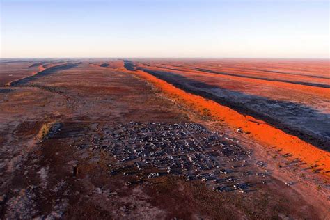 Big Red Bash, Birdsville By Andrew Champion | ubicaciondepersonas.cdmx.gob.mx