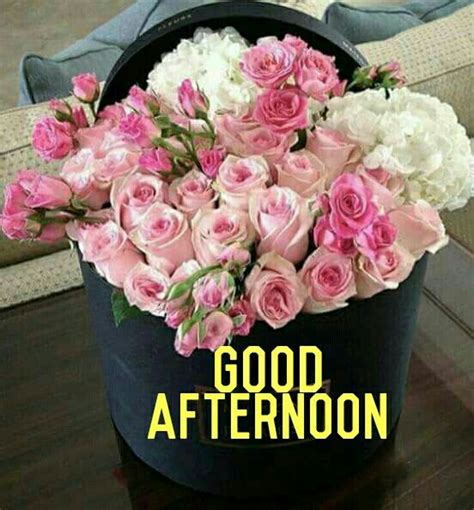 Good Afternoon Flowers Images / Good Afternoon Flowers Have A Lovely Day Premium Wishes : Rare ...