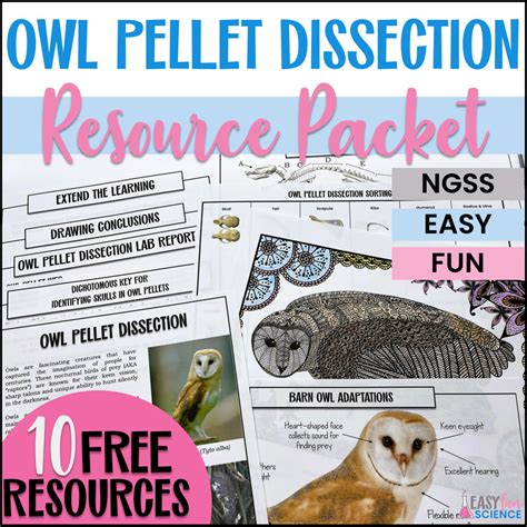 Owl Pellet Dissection - Free - Classful