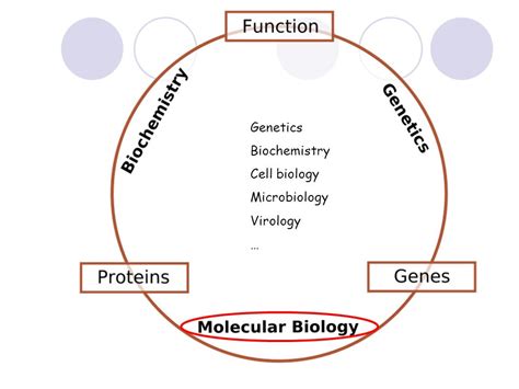 📍 ملخص بسيط عن البيولوجيا الجزيئية وكل ما يخص الـ Molecular Biology Lab ...