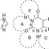 The structure of xanthine and its fused derivatives. Within the text ...