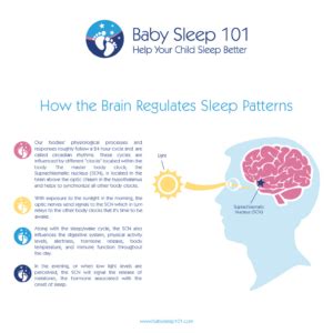 The Science of Sleep - Baby Sleep 101 :: Child and Baby Sleep Training