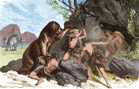 New Study Says Ancient Humans Hunted Big Mammals To Extinction : The ...