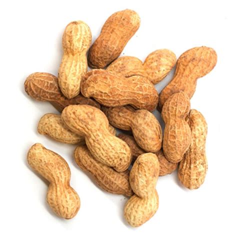 Jumbo Roasted In-Shell Peanuts — CB's Nuts