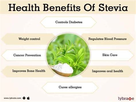 Stevia Benefits And Its Side Effects Lybrate | My XXX Hot Girl