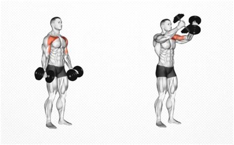 Standing Dumbbell Fly Guide: How To, Benefits, Muscles Worked