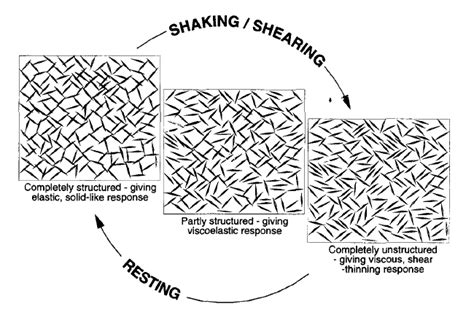 Breakdown of the thixotropic structure. Taken from Barnes, H. A. (1997). | Download Scientific ...