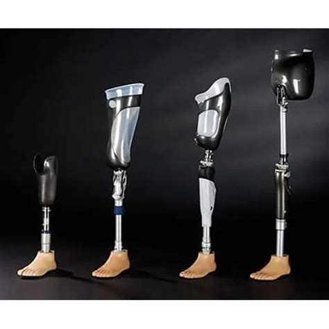 Lower Limb Prosthesis at Rs 20000 | Prosthesis Products in Ranchi | ID: 9019824055