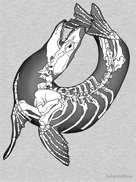 "Leopard Seal Skeleton" T-shirt by TinkerandBone | Redbubble