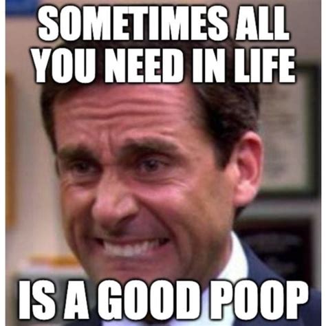 Need A Poop Meme? 40 Funny Poop Memes! - Eating Fat is the New Skinny