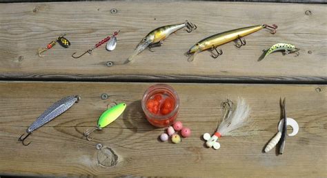 Best Rainbow Trout Bait: Know The Trout and Lure It in