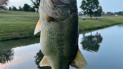 Petition · Permit After-Hours Fishing at Woodfin Ridge Golf Course ...