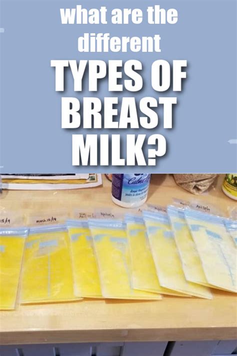 Types of Breast Milk - Exclusive Pumping