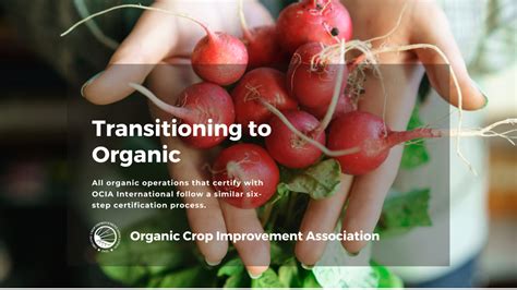 Transition to Organic: The Certification Process – OCIA