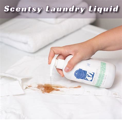 Scentsy Laundry Products | Liquid, Softener, Disks | Tanya Charette