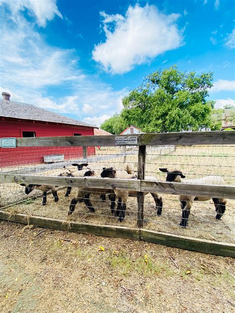 Heritage Farmstead Museum Reopening to Visitors - Plano Magazine