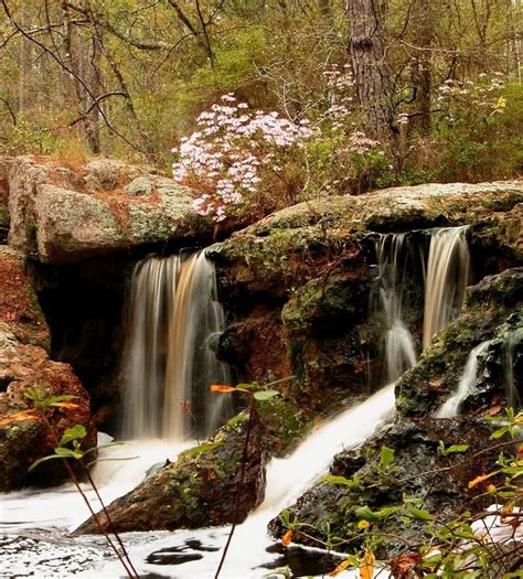 Broxton Rocks Preserve | Explore Georgia