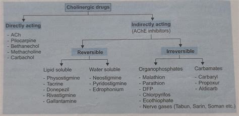 Cholinergic Drugs | Medical Junction