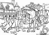 Farm Horse Coloring Pages sketch template