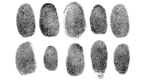 Experiment: Are fingerprint patterns inherited?