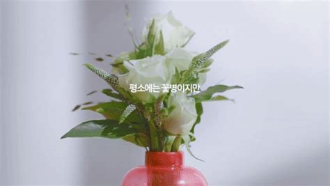 Firevase by Samsung is a Flower Vase that Doubles as Fire Extinguisher